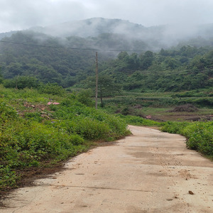 你留人间我成仙