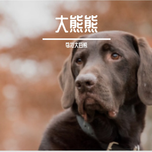 Free Beat  汽油.mp3