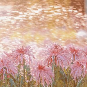 江南（温柔女版）