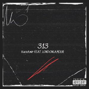 313