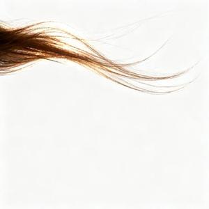 风轻轻吹过你的发