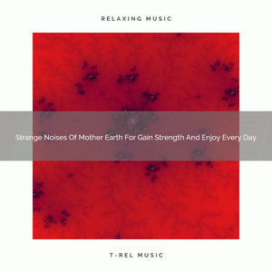 Sweet Noise For Enjoy Life, Loneliness, And Fullstack