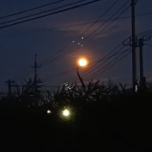 慢慢幸福