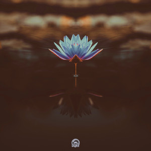 Lotus Memory
