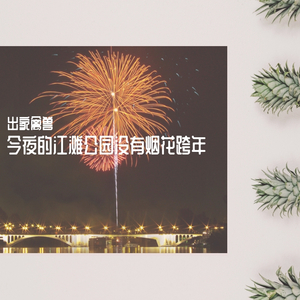 今夜的江滩公园没有烟花跨年