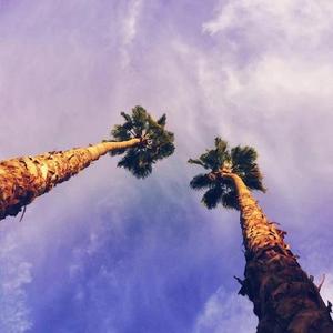 你们（prod.by T.A.）