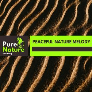 Water Sea and Ocean Waves