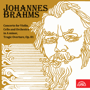 Concerto in A-Sharp Minor, Op. 102, .:I. Allegro