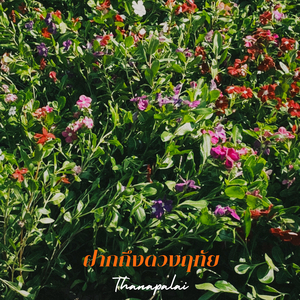 ฝากถึงดวงฤทัย