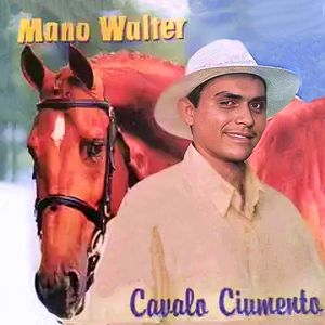 Minha Vida de Vaqueiro