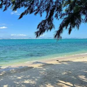 落叶堆成的誓言