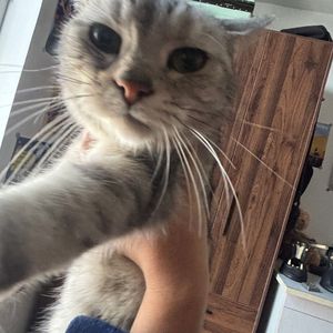 我们爱过了（keerad）