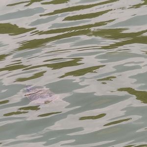 虚拟的梦（Prod.by MORROW）