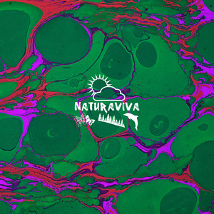 Minerva (Helkah Remix)