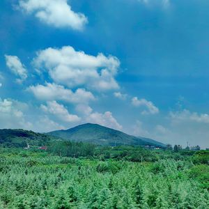 Til‘ the yesterday