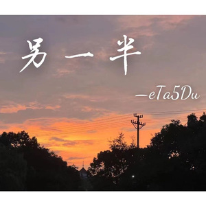 另一半