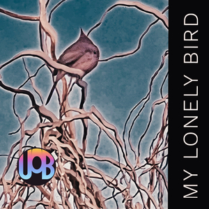 My Lonely Bird