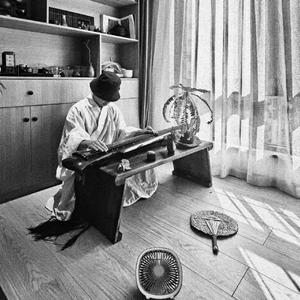 Poisonous Summer（毒夏）