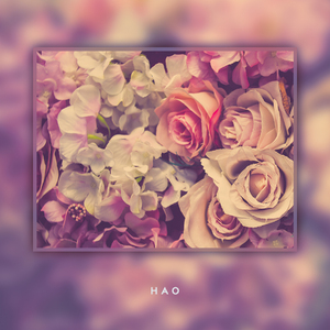 언젠가 피어나겠죠