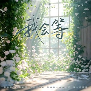 我会等（翻自 杨舒淇）