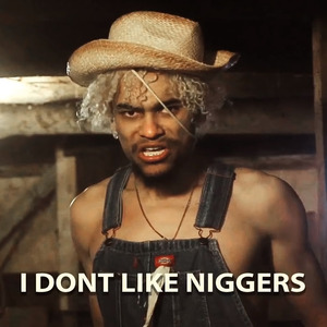 I Don't Like Niggers