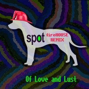 Spot