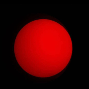 Leonard Sueña Con Diamantes