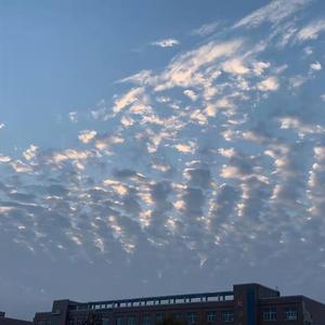 我不是你的宋冬野