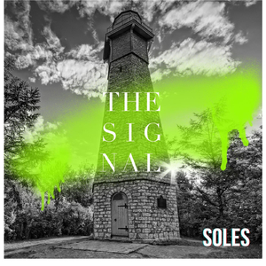Signal