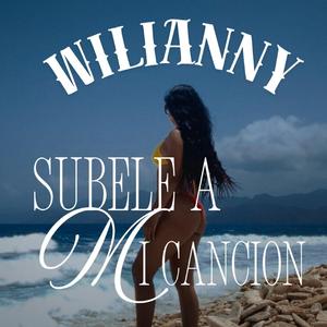 SUBELE A MI CANCION