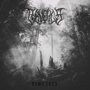 Beyond the Black Ashes