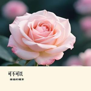 我配不上你 (Remix)