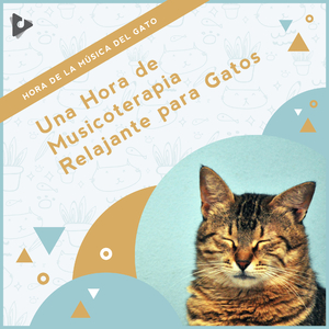 La mejor música para gatitos