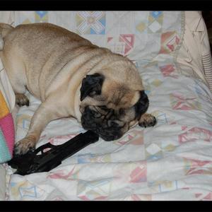 i really wanna off it (feat. killpariah)