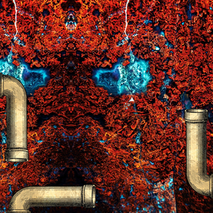 Ecstastic Victorious