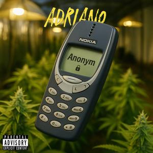 Anonym