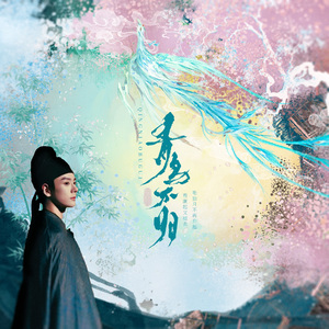 青鸟不归（记《锦绣芳华》刘畅）