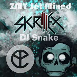 Cool electronic music (ZMY Set Mixed)