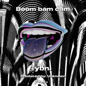 Boom bam cam