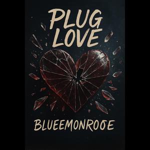 PlugLove