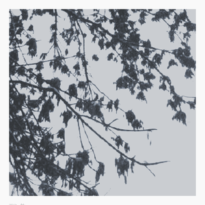 Sing for love 伴奏