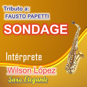 Sondage