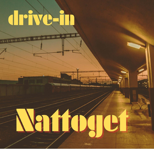 Nattoget