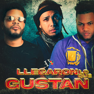 Llegaron Lo Que Gustan