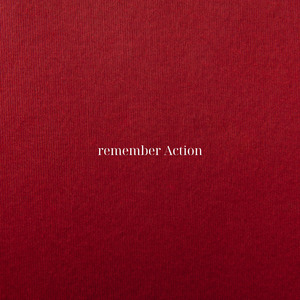 remember Action