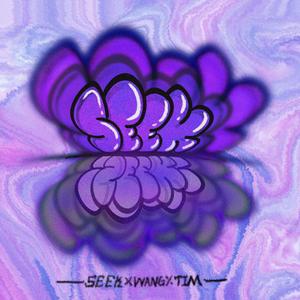 SEEK（Prod.by mr.hong）