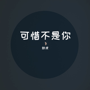 可惜不是你