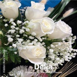 Delia