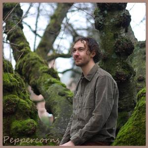 Peppercorns (Unbroken)