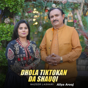 Dhola Tiktokan Da Shauqi